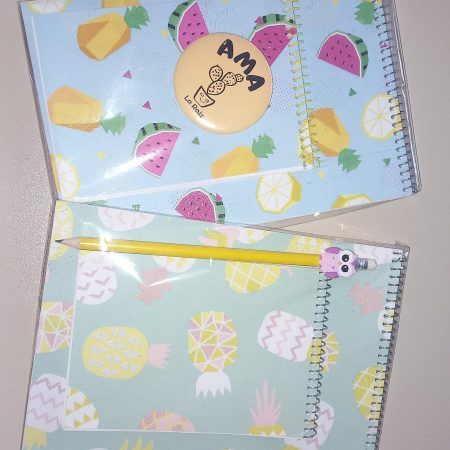 Conjunto Libretas A5, A6 y lápiz decorado o iman