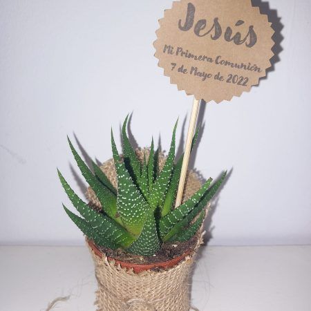 Planta Detalle de Comunión